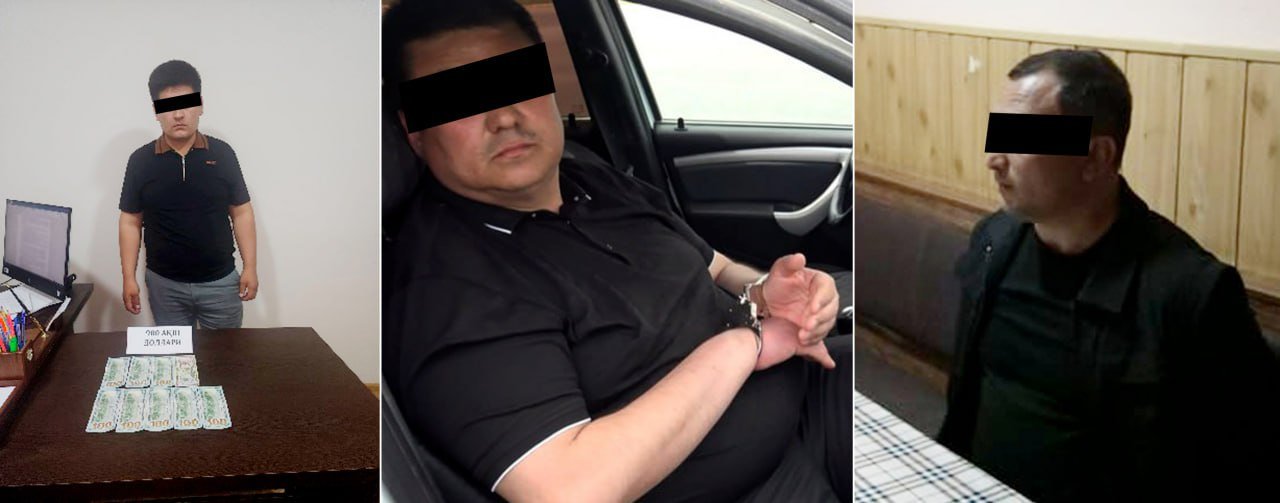 Қашқадарёда суд-экспертиза маркази ходимига нисбатан жиноят иши қўзғатилди
